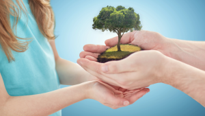 Ottawa Financial Planner: Crafting a Roadmap to Your Financial Goals
